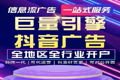 谷歌竞价广告的投放策略与成功案例分析